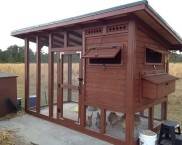 do-it-yourself chicken coop for 10 chickens