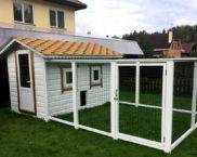 DIY winter chicken coop for 20 chickens