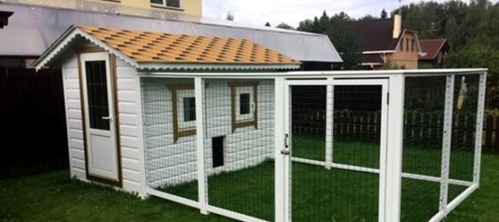 DIY winter chicken coop for 20 chickens