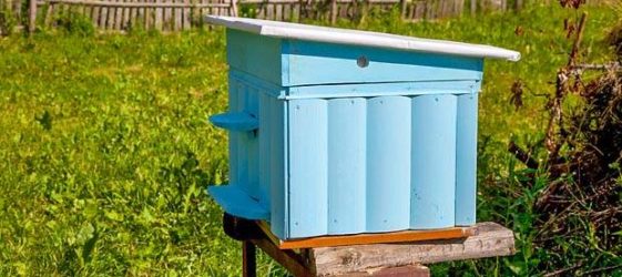 DIY beehive