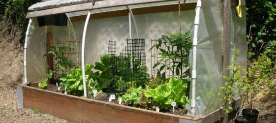 DIY greenhouse made of scrap materials