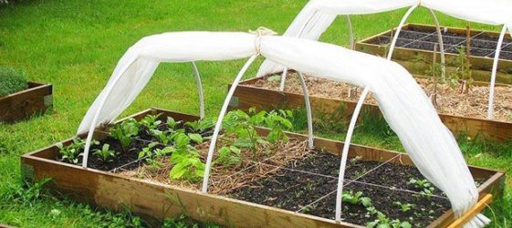 Greenhouses from arcs with covering material