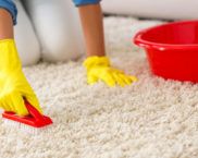 How to clean your carpet at home