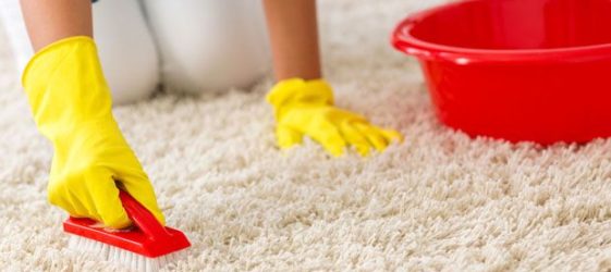 How to clean your carpet at home