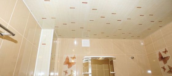 Ceiling decoration with plastic panels