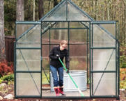 Greenhouse processing in autumn